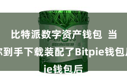 比特派数字资产钱包  当你到手下载装配了Bitpie钱包后